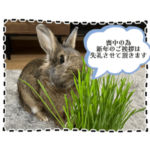 2023 喪中うさぎスタンプ