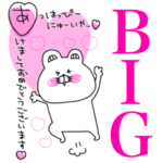 くま姫の毎年使える年末年始♡31♡