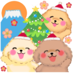 年中使えるかわいいトイプードル