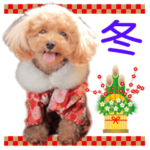 トイプーらっちゃんのクリスマス・お正月