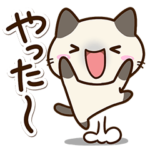 毎日元気な☆小さいシャム猫