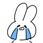 生理で体調不良なうさぎ