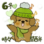 プードル犬 6『時々関西弁』