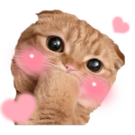 ひな子スタンプ第一弾/ あにまるファミリー