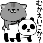 にゃむ猫ちゃぽ家族連絡軍隊風