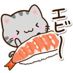 小さいアメショ