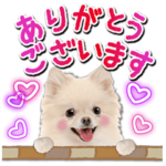 かわいい犬たち♡年中使える お祝い ポメ