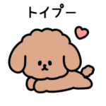 トイプーしか勝たん