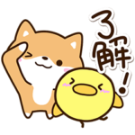 まめシバ×まるピヨ