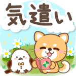 大人のための柴犬♪優しい気遣いスタンプ２