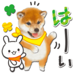 かわいい犬たち♡毎日使える しば犬