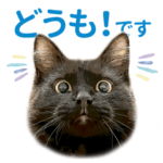 nekodea 色々つかえる猫スタンプ