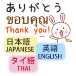 タイ語と日本語と英語を使う　うさぎ