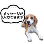 ビーグルのメッセージスタンプ