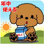 飛び出すトイプー「年中使える」