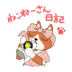 ねこねーさん日記