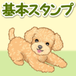 可愛いトイプードルの男の子 基本スタンプ