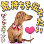 気持ちを伝えたいダックスフンド