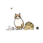 ちいかぞのみなさん