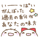 マユんこ17 受験生へ