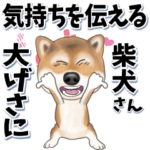 大げさに気持ちを伝える柴犬さん