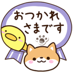 まめシバ×まるピヨ３