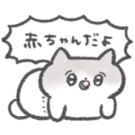 全てを忘れたい猫の赤ちゃん