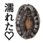 しゃべるアワビ