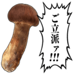 立派な松茸