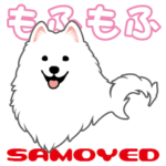 もふもふサモエド