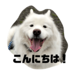 ぼくはタラだよ