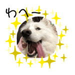 なの＆サモスタンプ