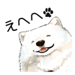 ワンルームワンコ