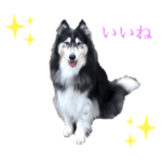 イケメンパンチ③