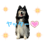 イケメンパンチ④