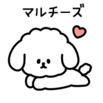 マルチーズしか勝たん