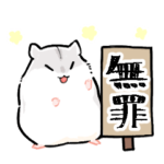 審議中！怠惰なジャンガリアンハムスター