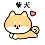 柴犬 しか勝たん