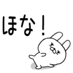 関西弁スタンプ★関西弁うさぎ★19