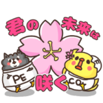 PECOフレンズ-受験-2023 Ver.