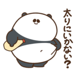 デブぱんだ（おでかけ前）