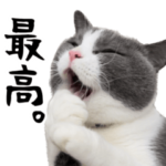 毎日使える ハチワレすたんぷ