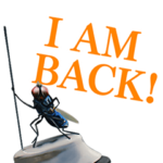 映画「マッキー」