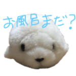 ぬい☆スタ（お風呂に入りましょう）