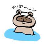 お風呂が好きなたぬき