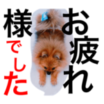 ぽんぽん　合格祈願スタンプ