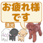 清光「きよみつ」さんのトイプードル会話