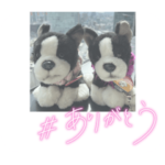 ナルトきょうだいラブリーすたんぷ