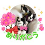 ナルト兄弟ラブラブすたんぷ