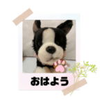 ナルト兄弟ご挨拶すたんぷ